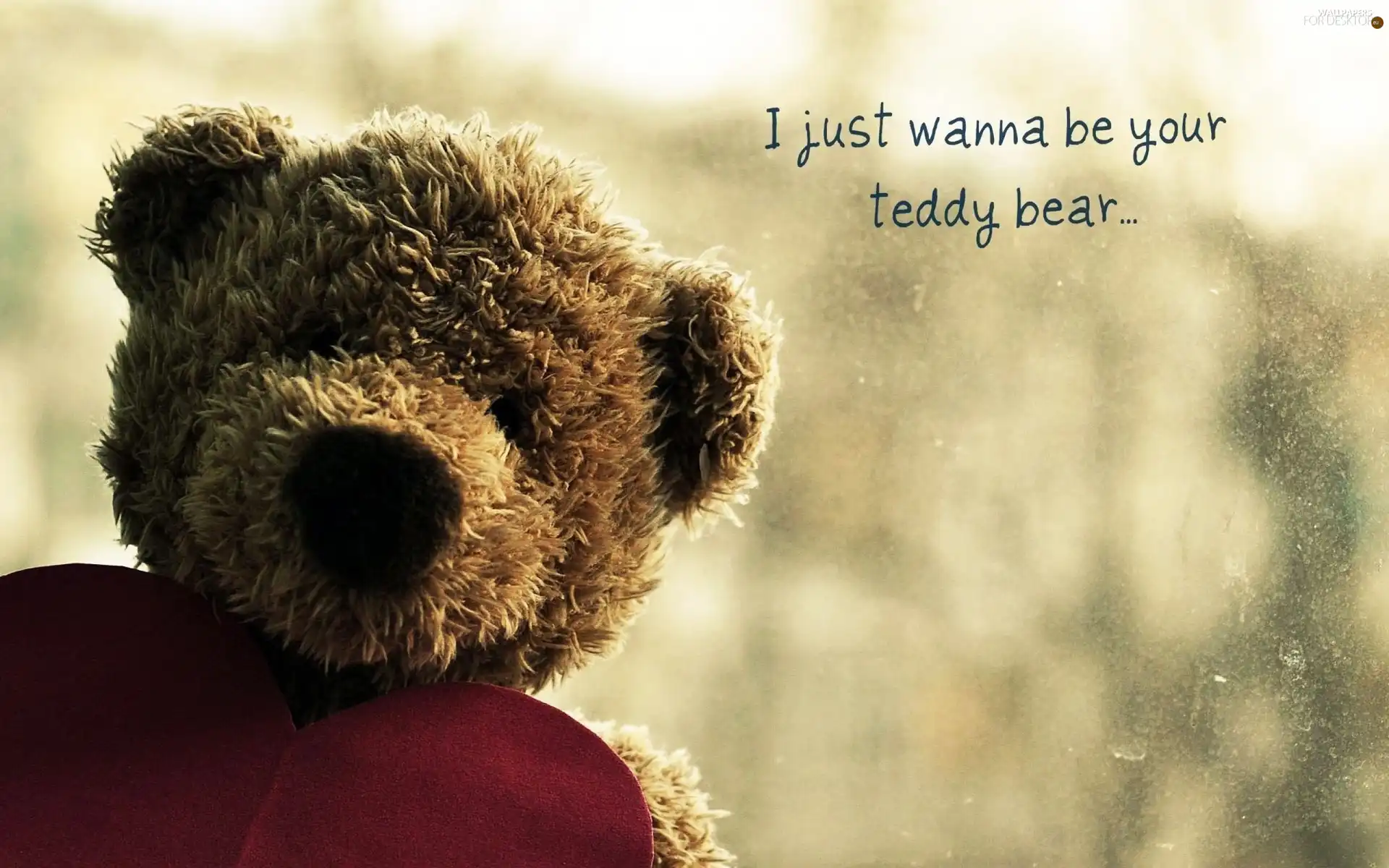 Heart, Plush, teddy bear, text