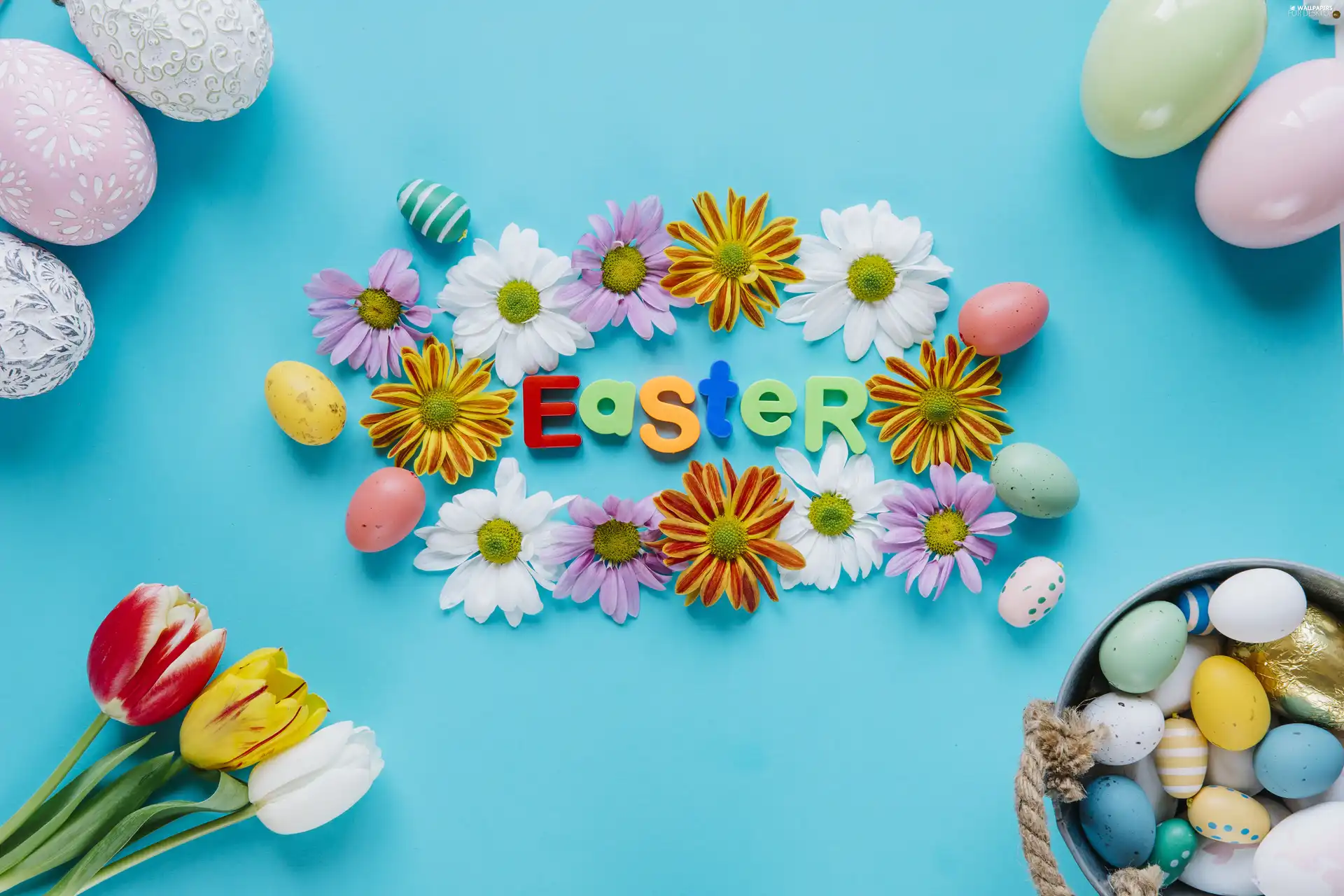 text, Tulips, eggs, Blue, Bucket, Flowers, color, background, Easter, Flowers