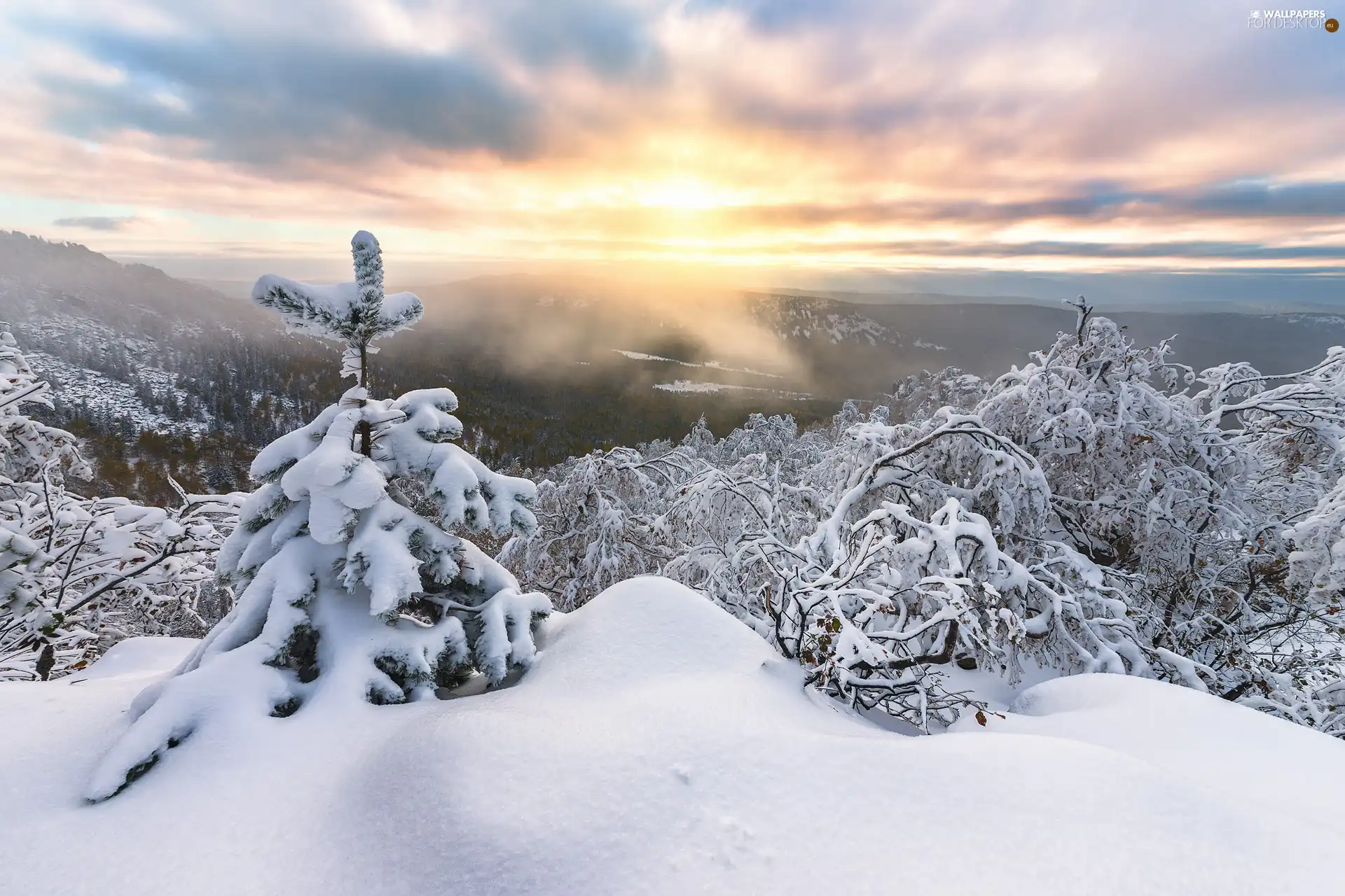 The Hills, winter, Mountains, trees, snow, Sunrise, clouds, Fog, viewes