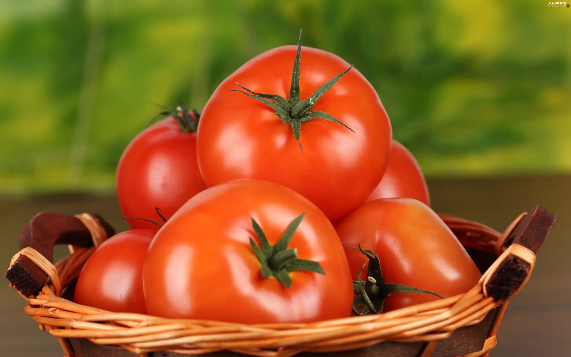 tomatoes, wicker, basket