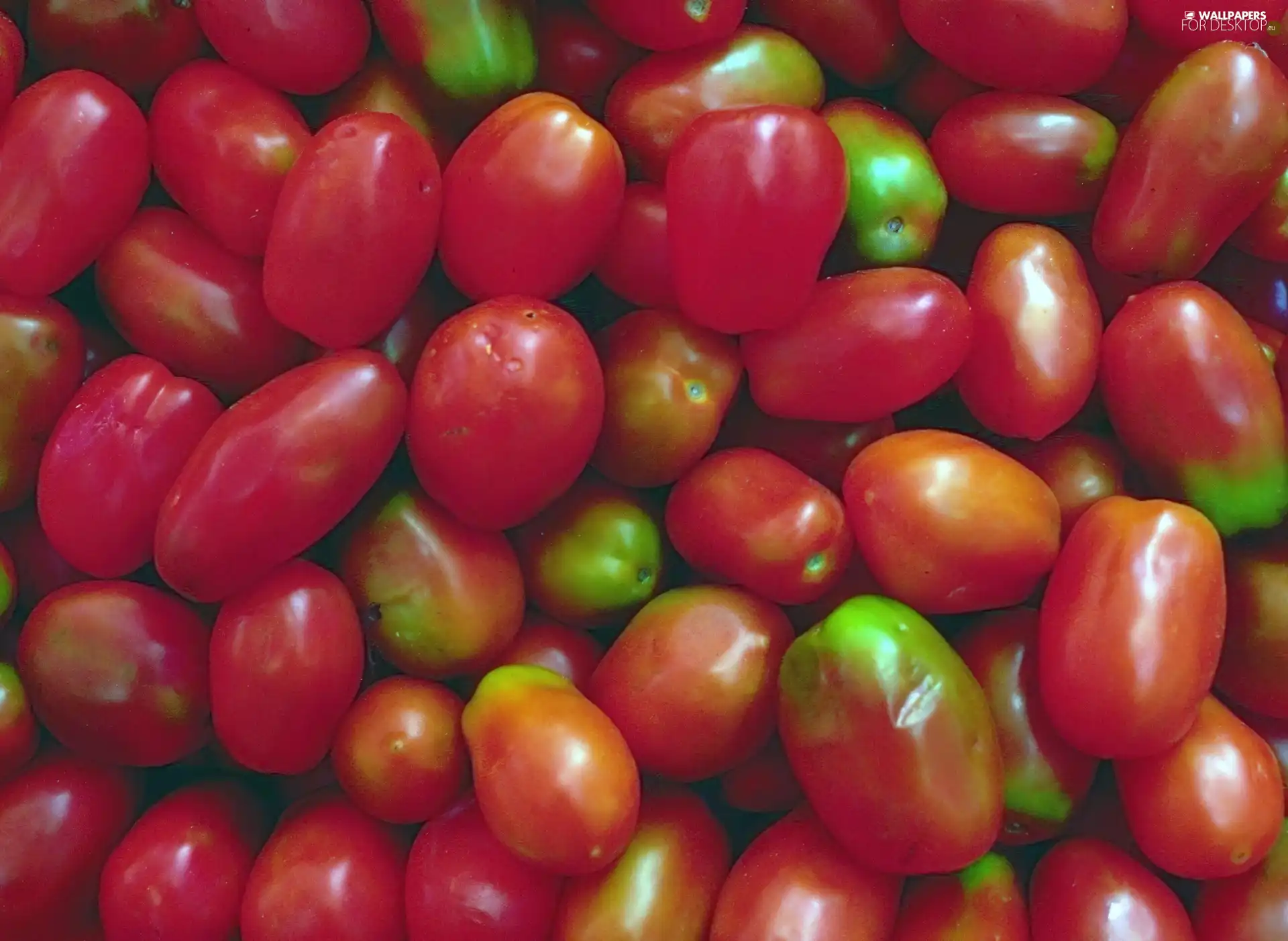 red, Longitudinal, tomatoes, green ones