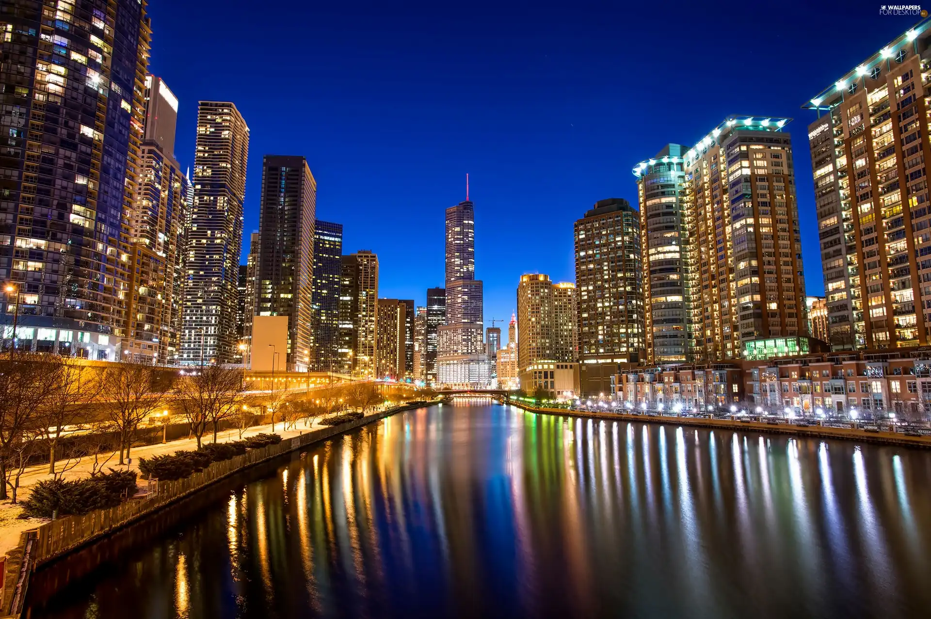 Town, Night, River, Chicago, skyscraper