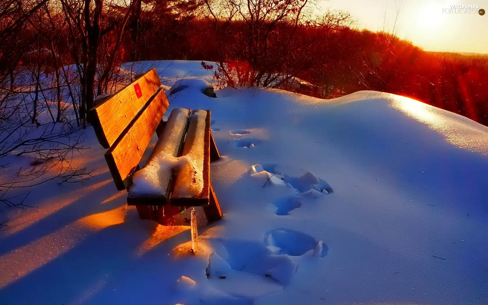 Bench, snow, viewes, traces, winter, trees, Bush
