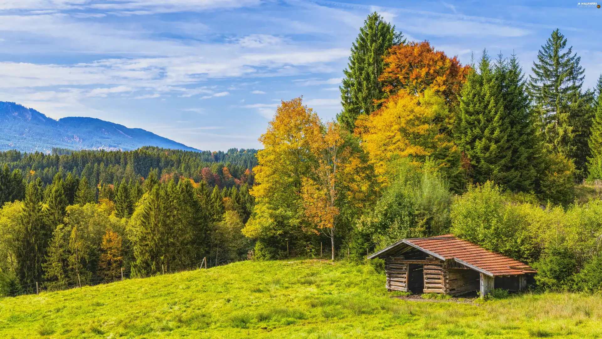 viewes, Mountains, cottage, trees, autumn, Wooden, hut
