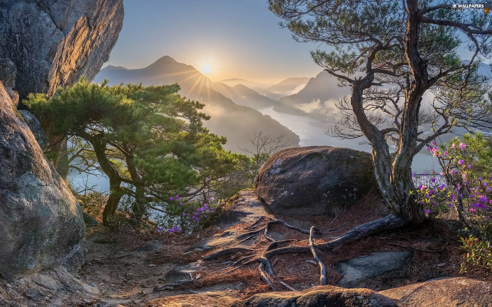 rays of the Sun, rocks, River, trees, Flowers, Spring, Mountains, viewes