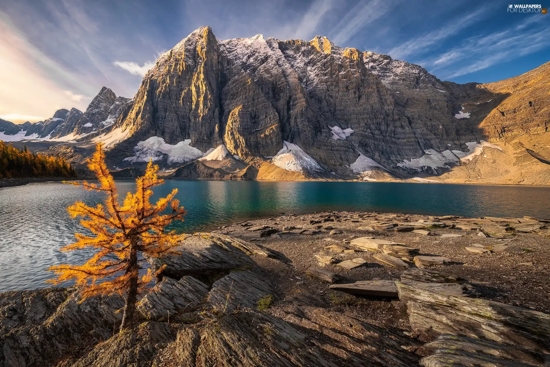 trees, Lake Moraine, Alberta, Canada, Banff National Park, Mountains