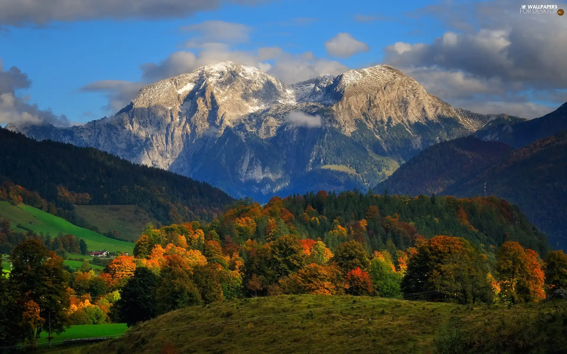 Mountains, forest, Plants, Autumn, viewes, clouds, autumn, trees