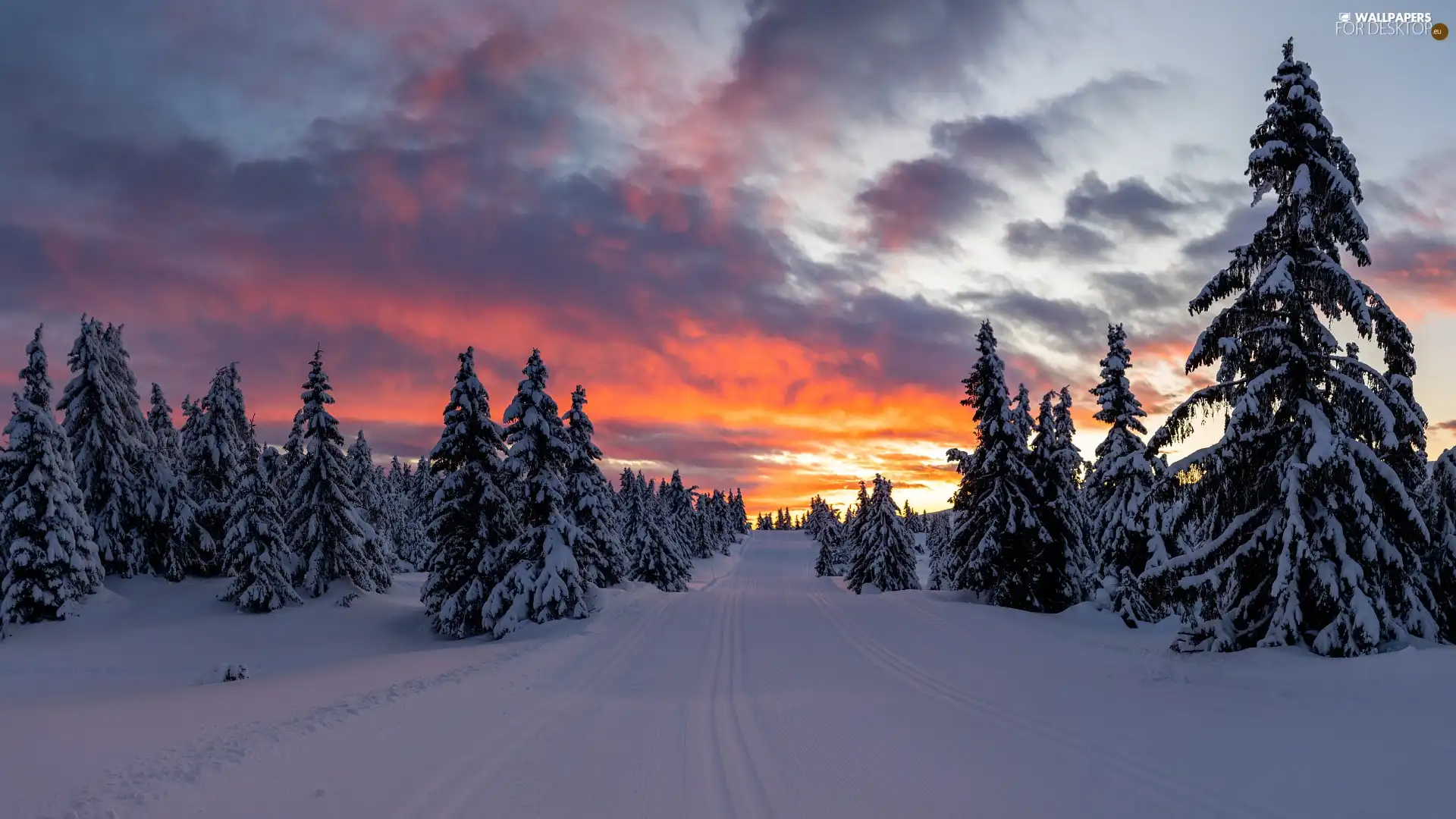 Great Sunsets, clouds, trees, viewes, winter