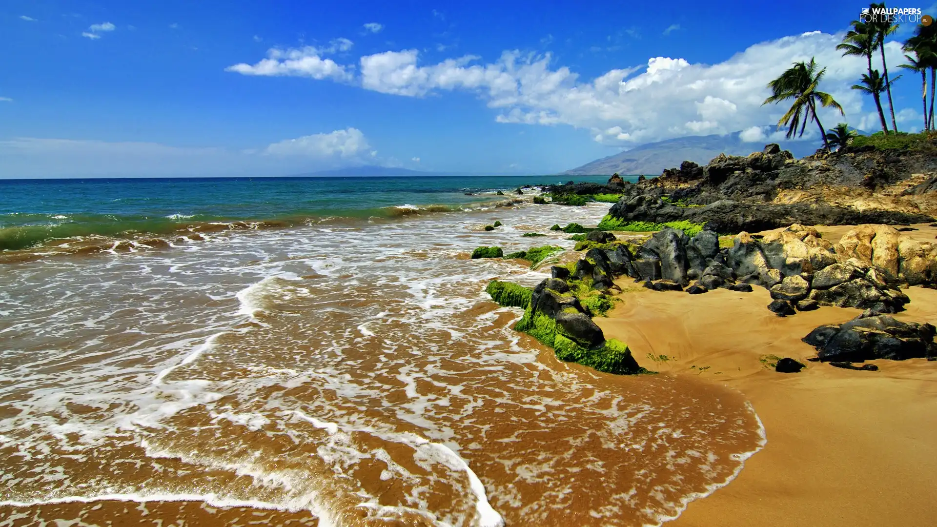 sea, Stones, tropic, Beaches