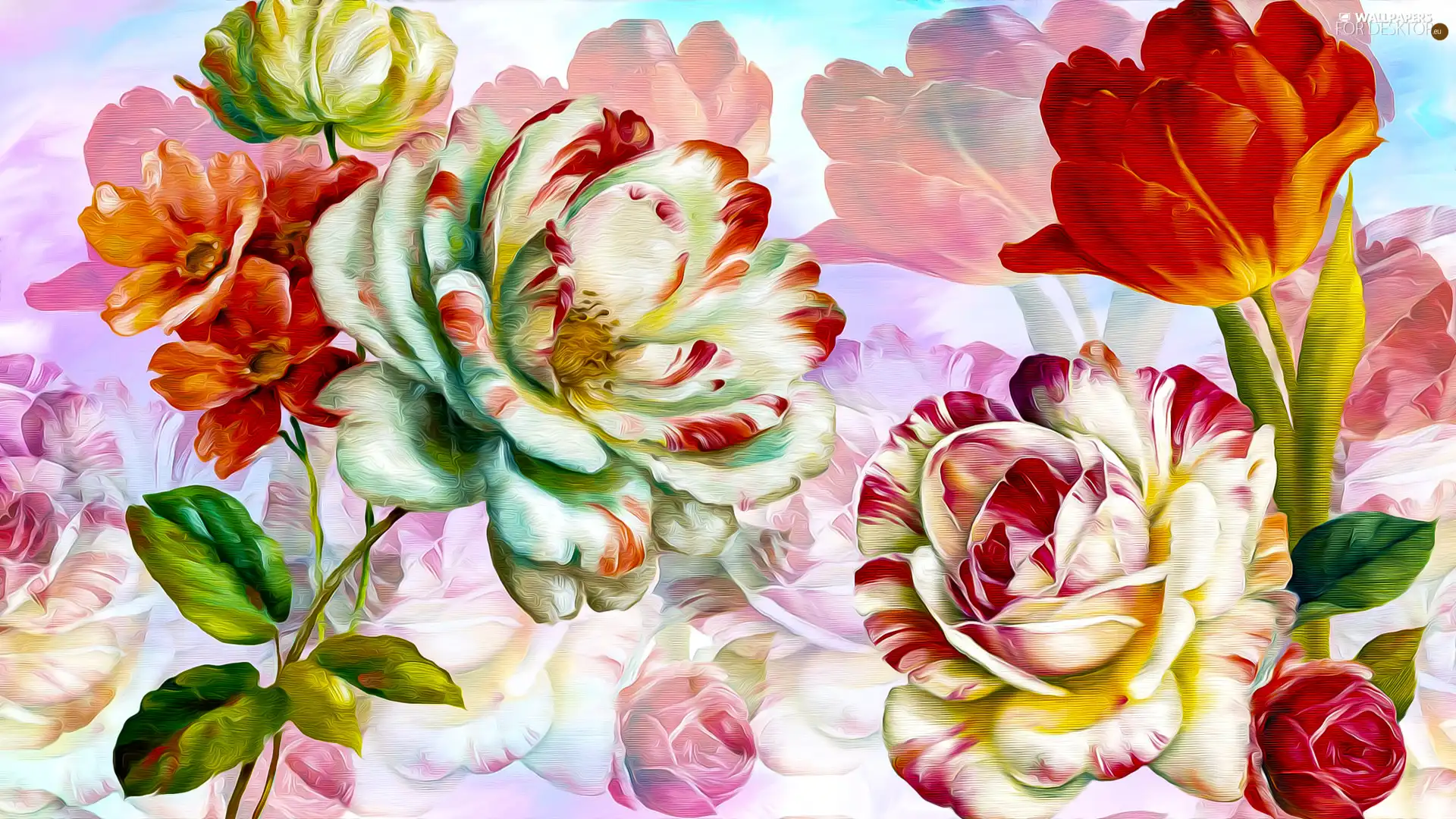 Flowers, roses, graphics, tulip