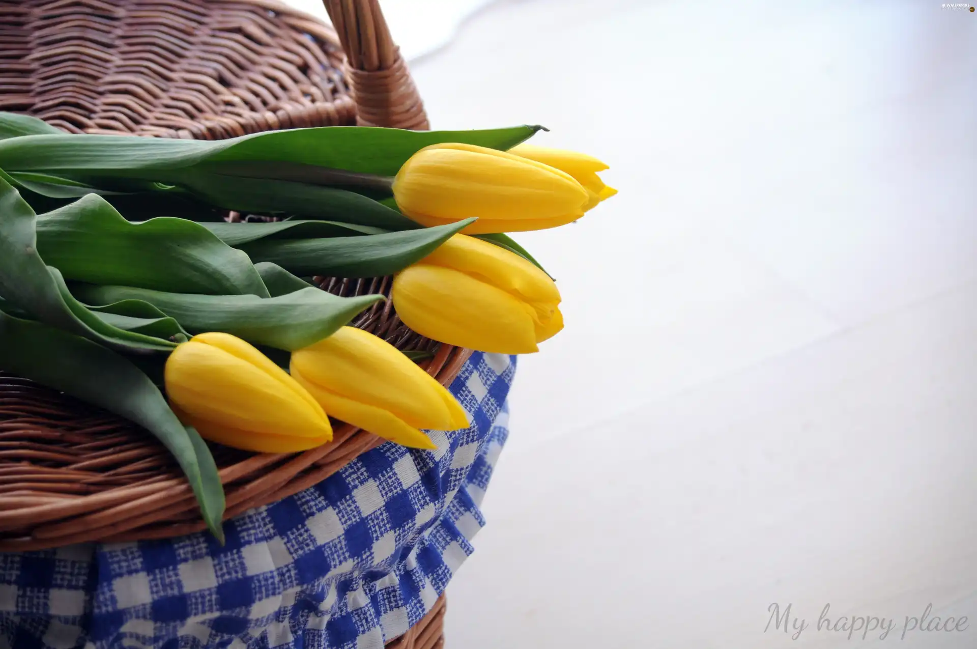 basket, Yellow, Tulips, wicker