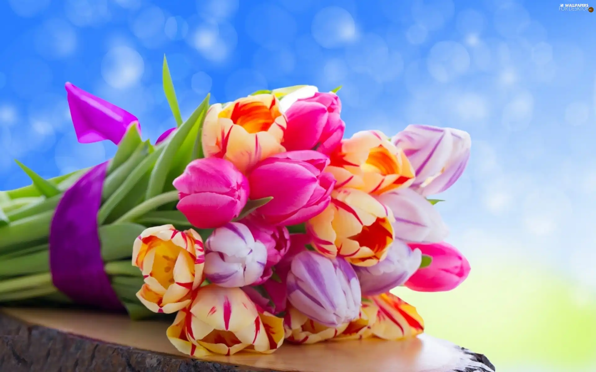 tulips, bouquet, Colorful