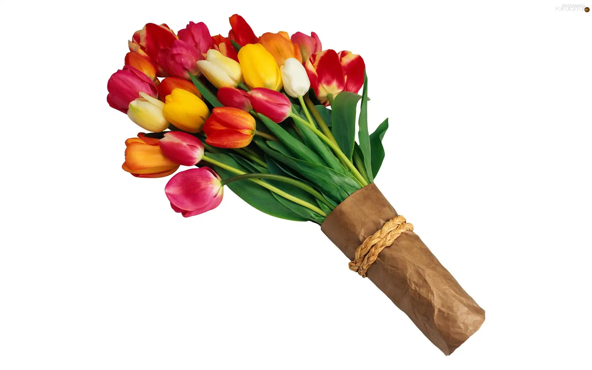 tulips, bouquet, multicolored