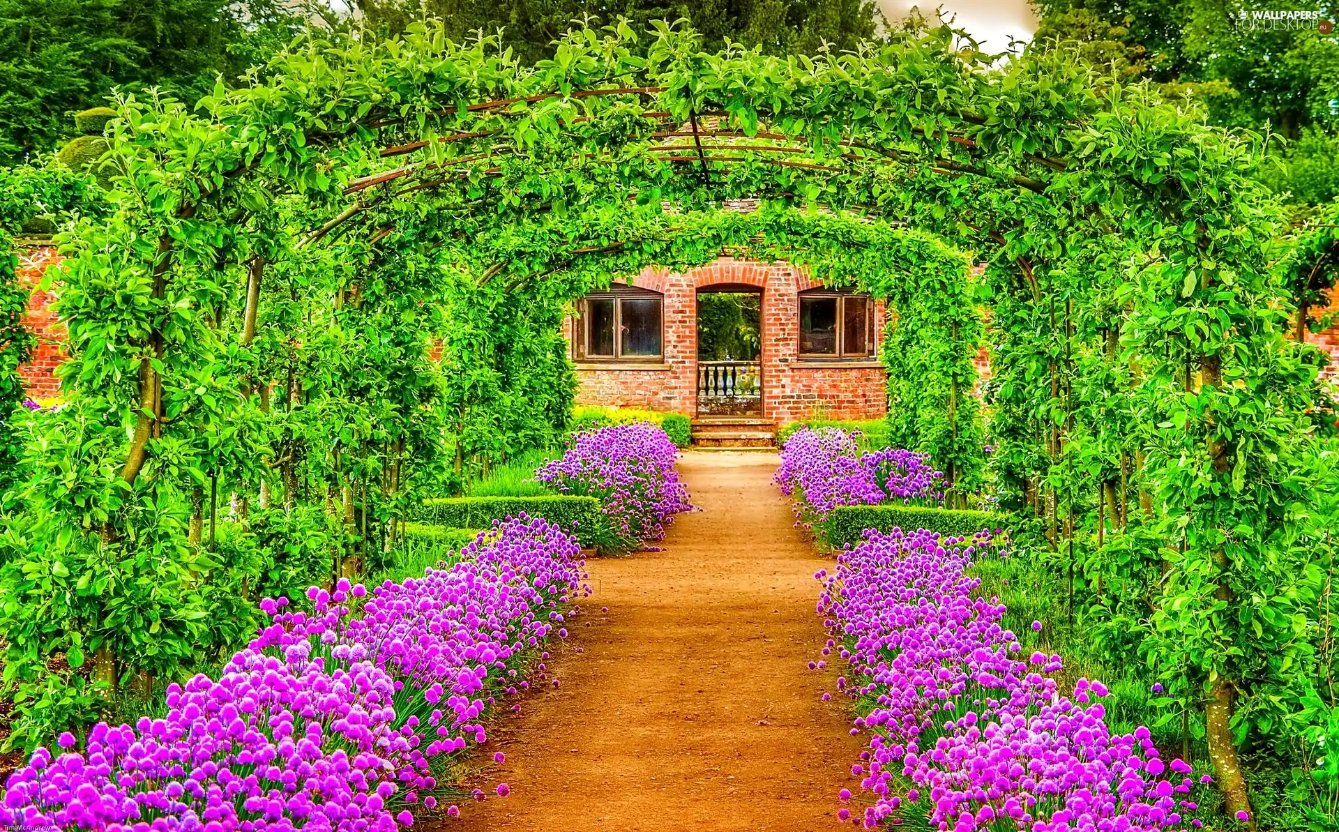 Garden, Green, tunnel, Flowers