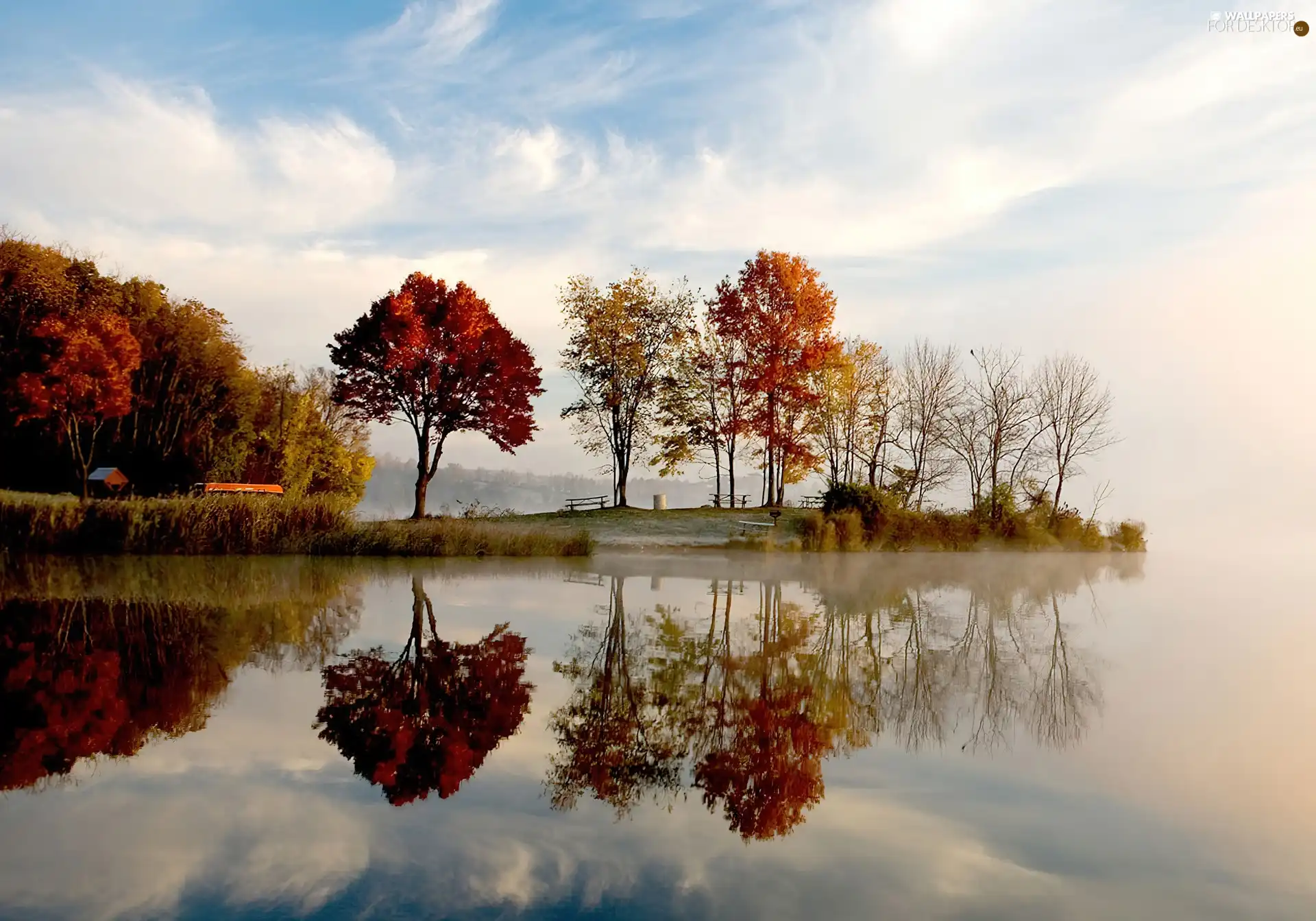 autumn, trees, viewes, lake
