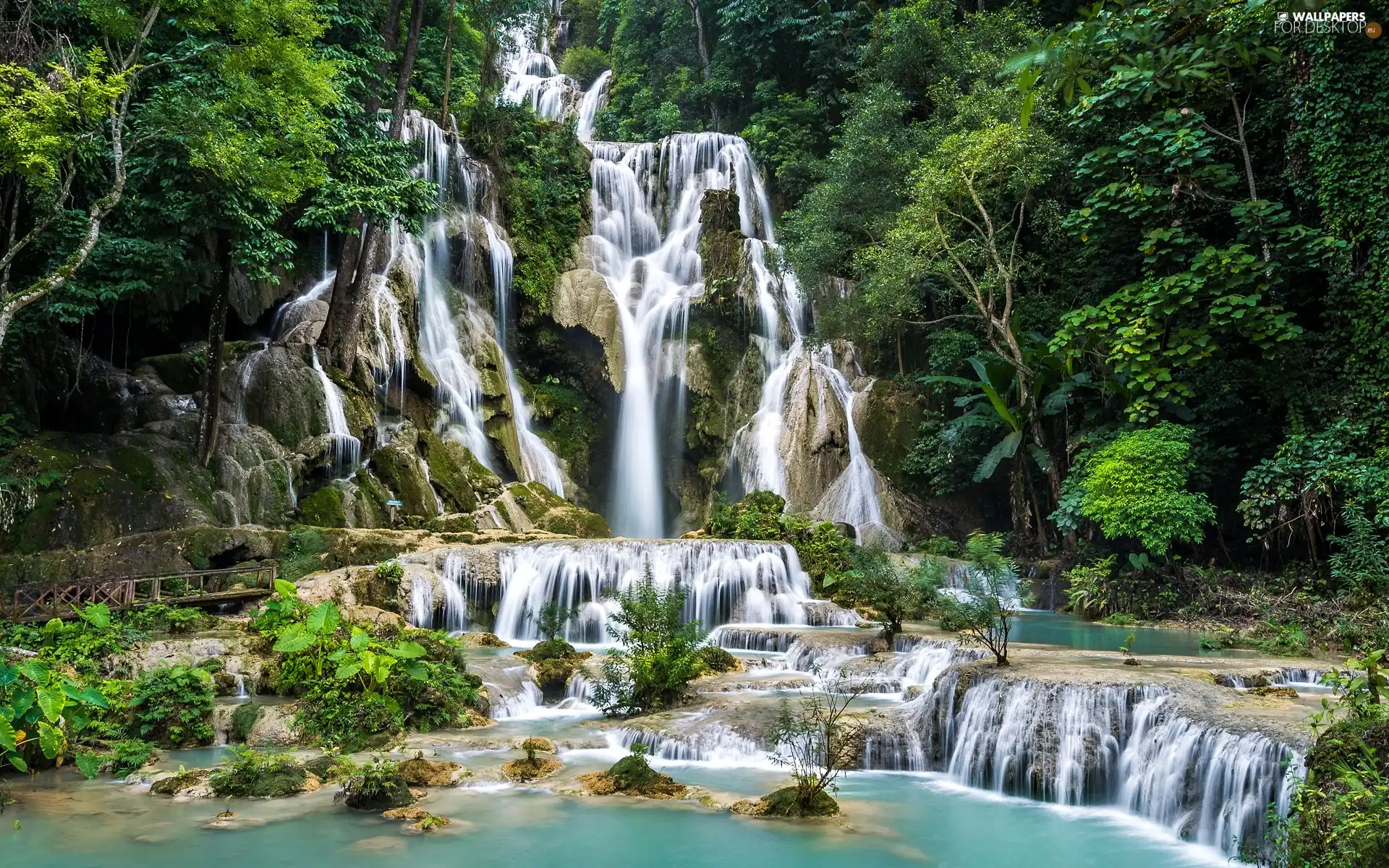 viewes, Kuang Si Waterfall, Province of Louangphrabang, Laos, cascade, trees