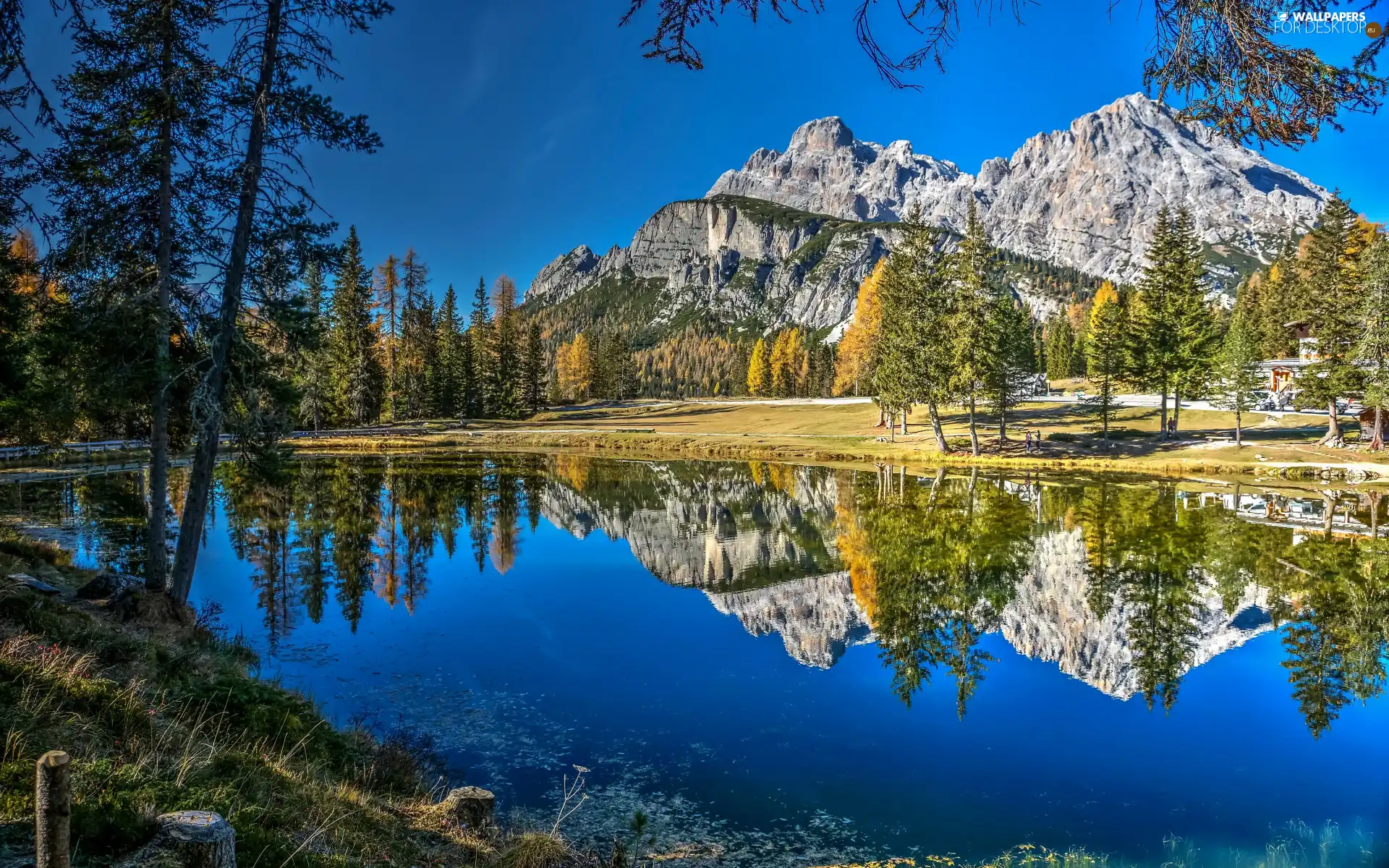 Mountains, trees, grass, viewes, autumn, lake, reflection