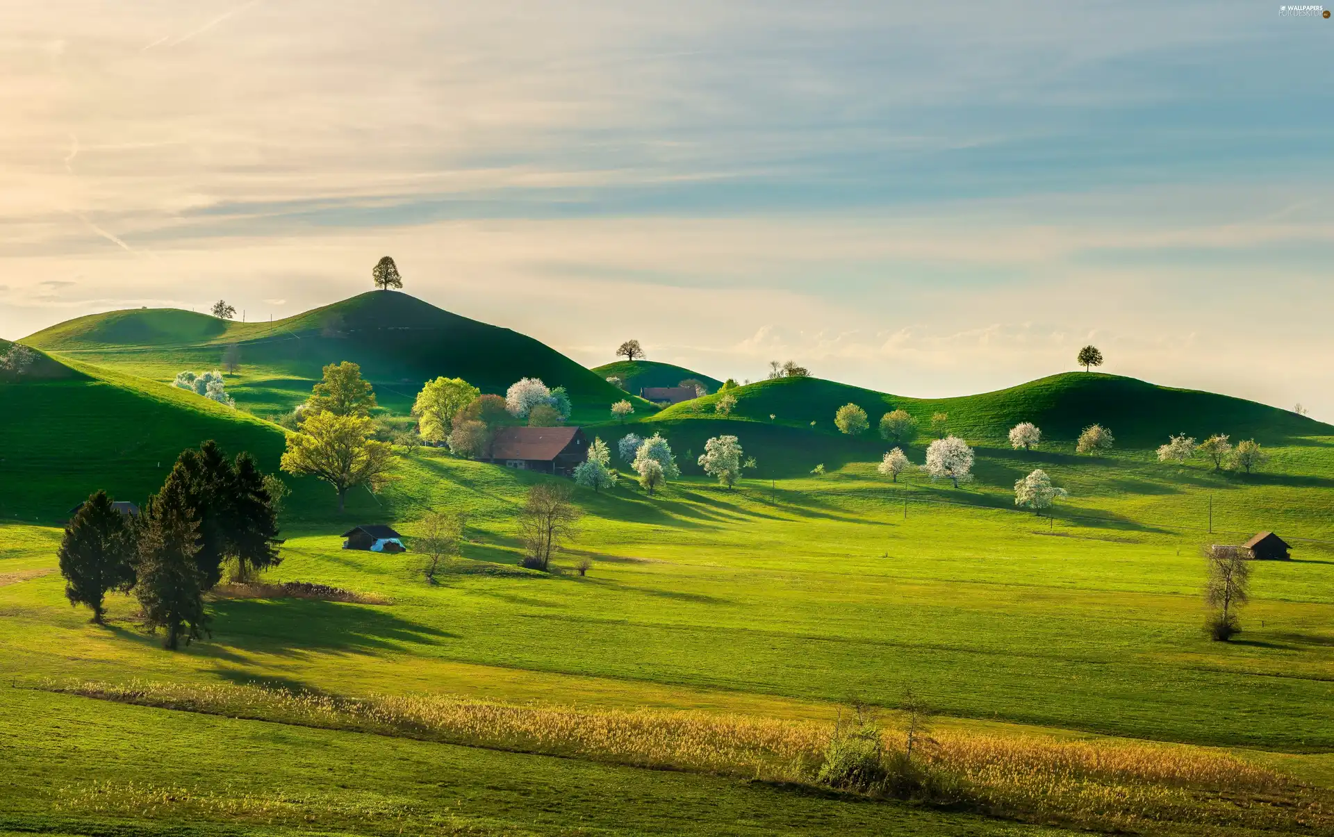Spring, The Hills, viewes, Houses, trees, field