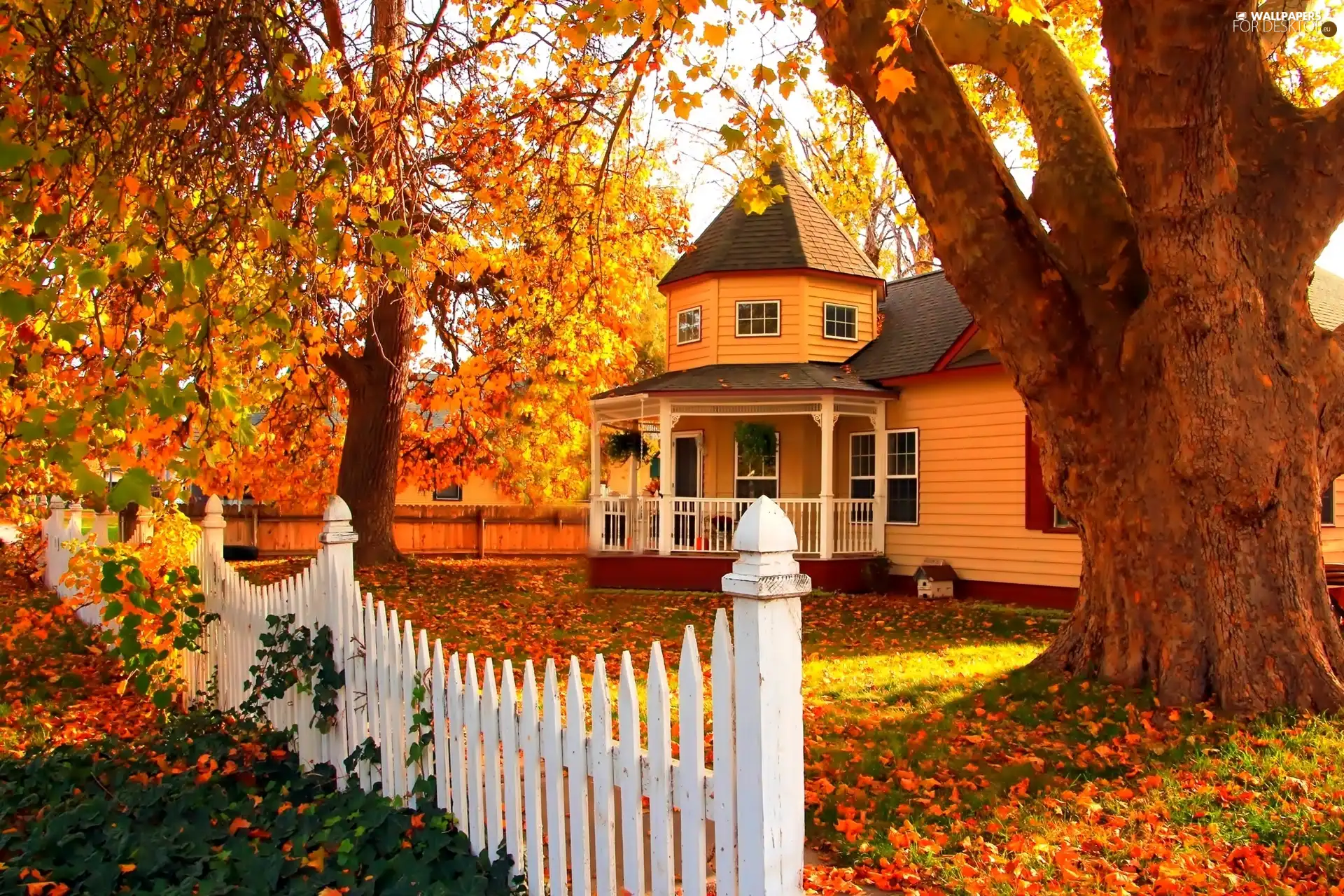 fence, autumn, viewes, Leaf, trees, house