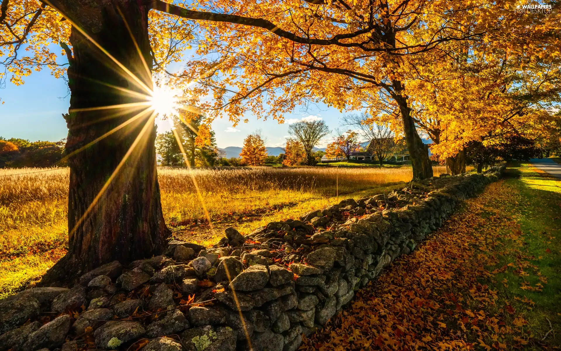 Stones, autumn, ledge, house, Leaf, rays of the Sun, viewes, Yellowed, trees