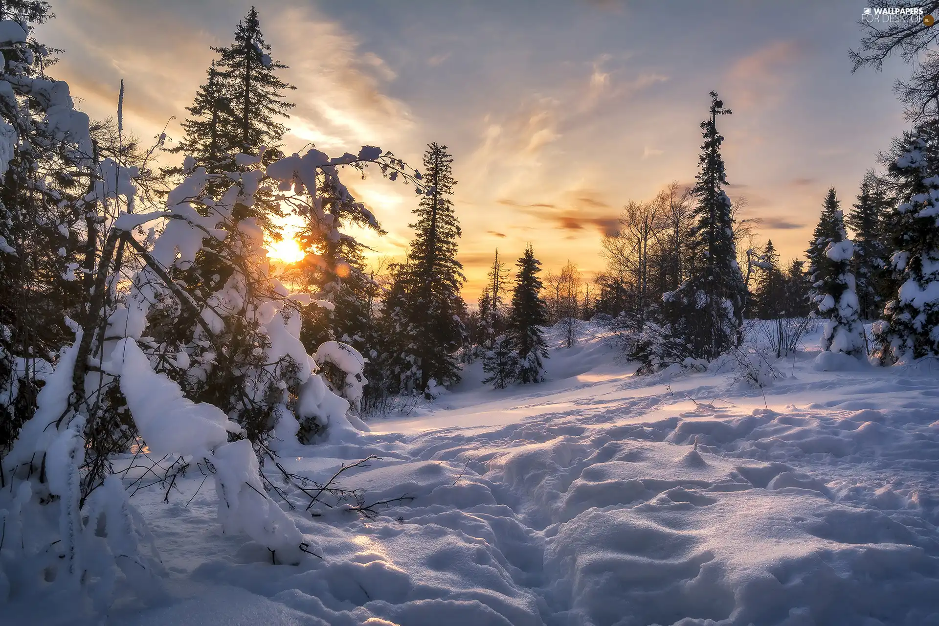 Sunrise, winter, trees, viewes, Snowy, snow