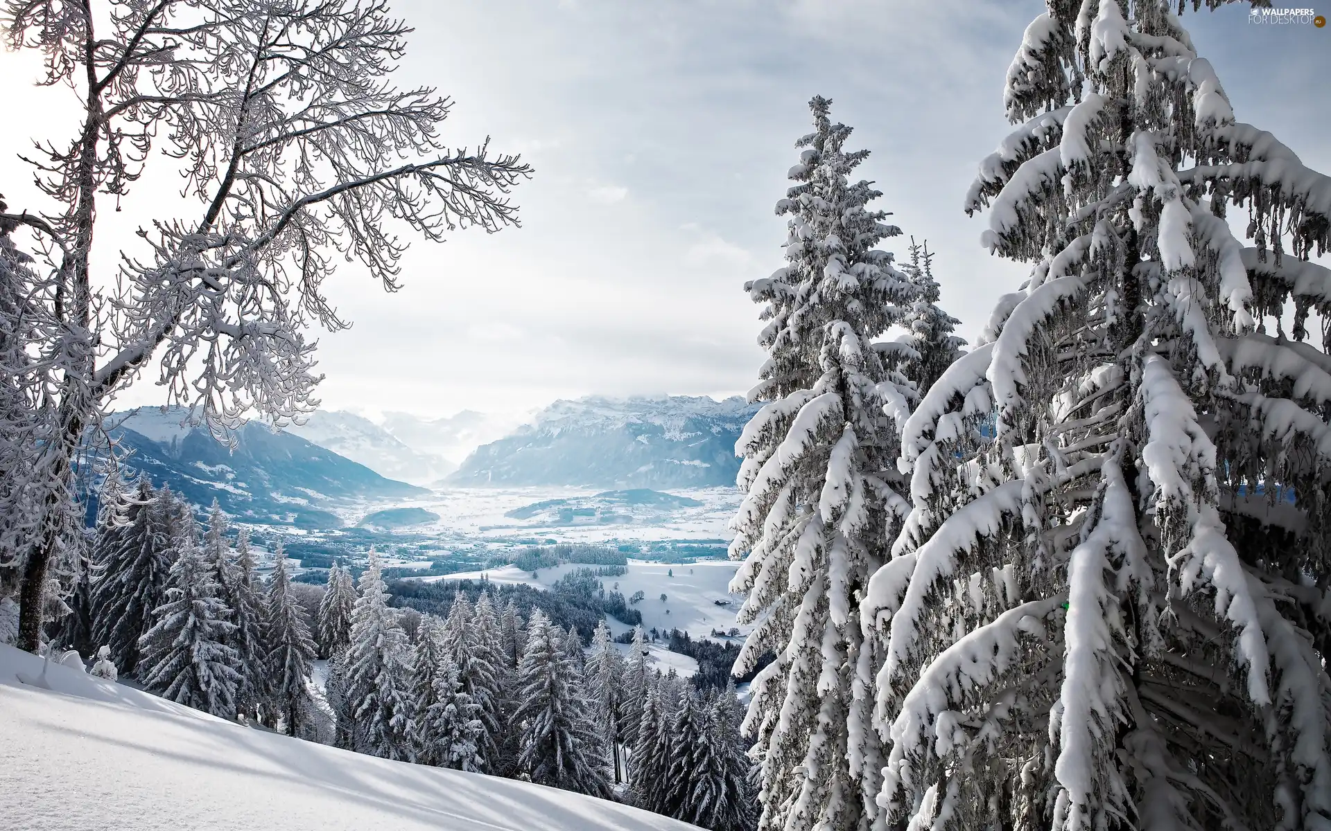 winter, trees, viewes, Mountains