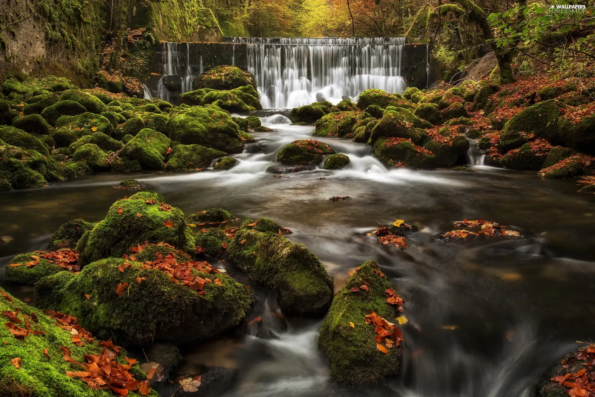 waterfall, boulders, forest, River, autumn