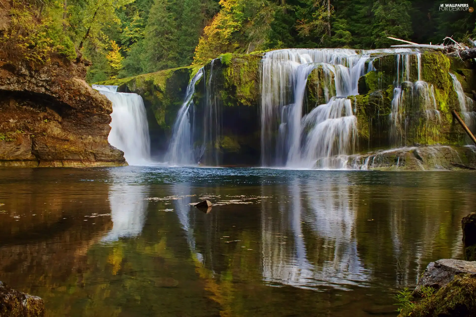 waterfall, forest, rocks