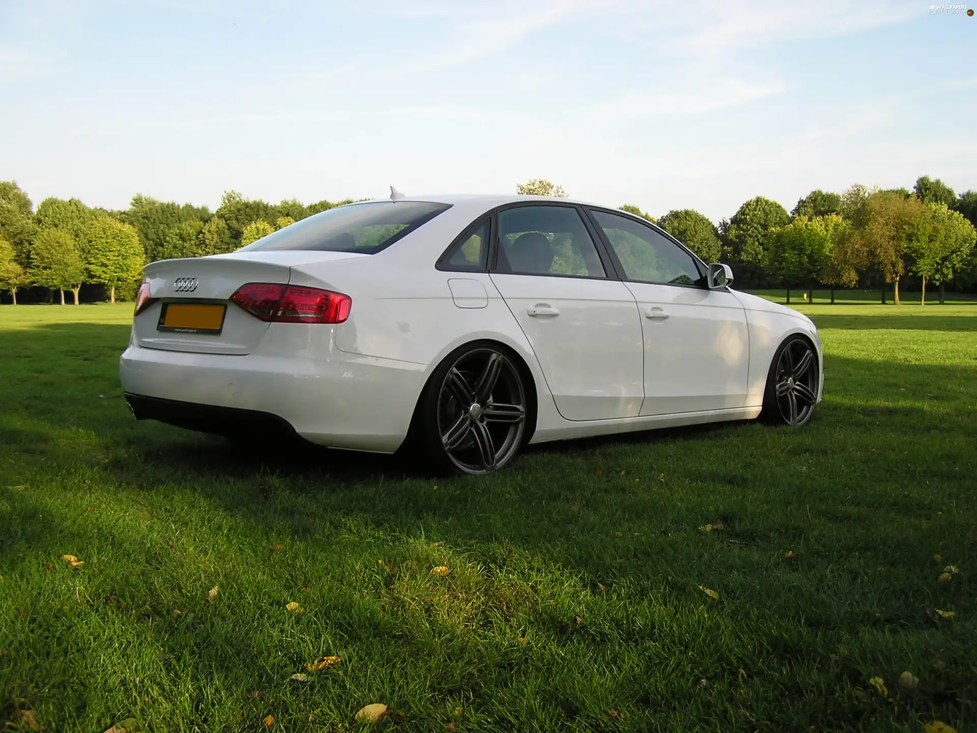 Audi A4 B8, Decreased, White