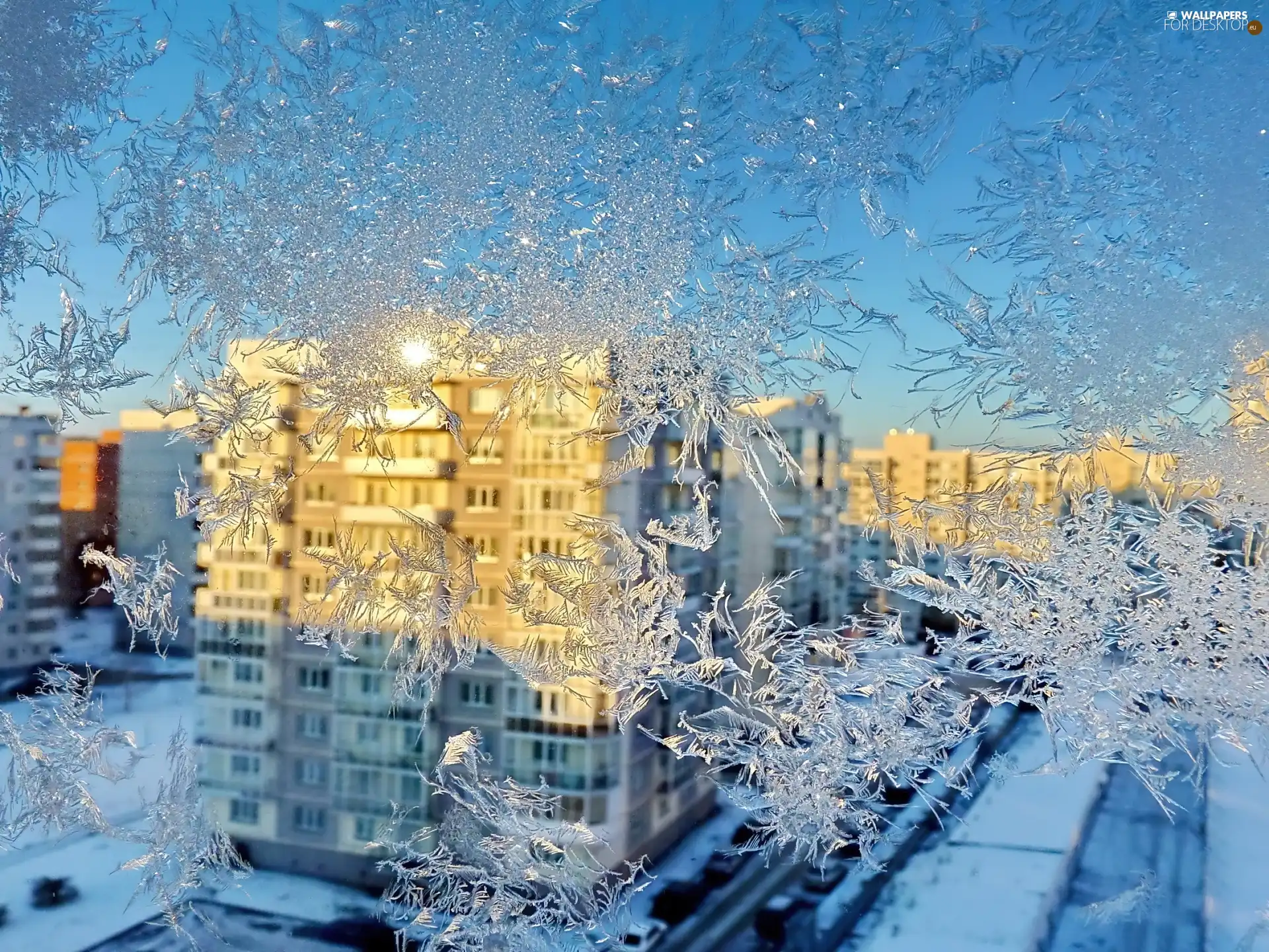 buildings, Frost, White frost, Window