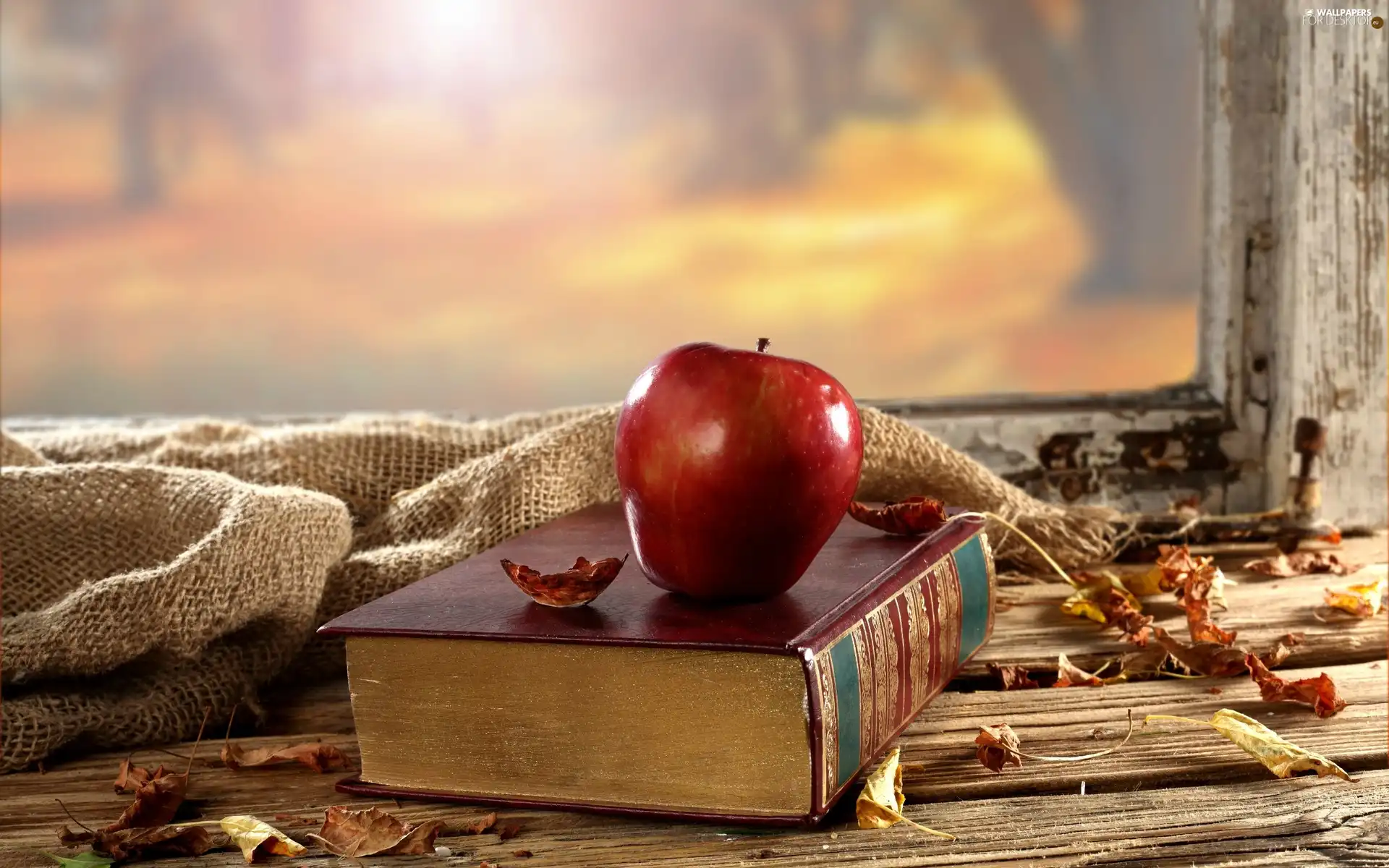 Autumn, Apple, Window, composition, Leaf, Book