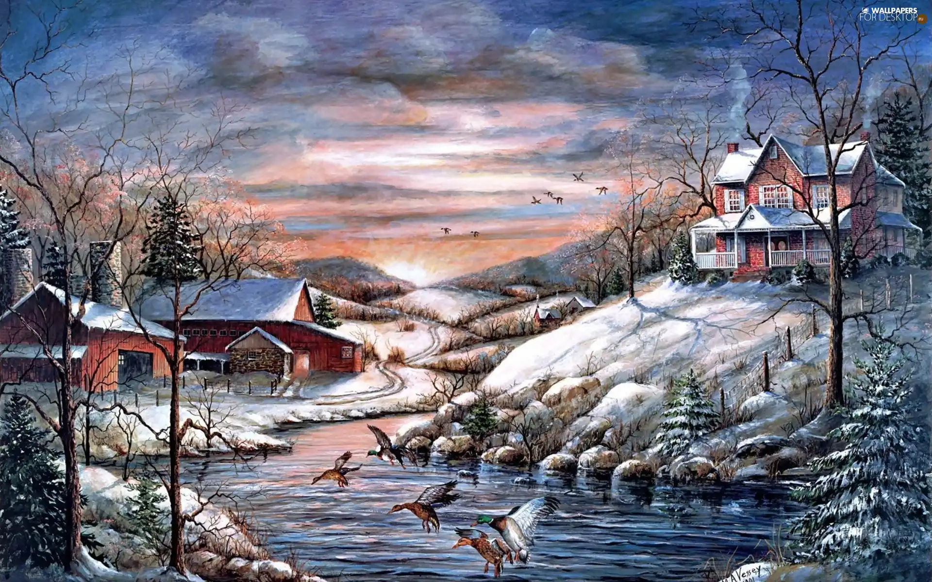 River, Houses, winter, ducks