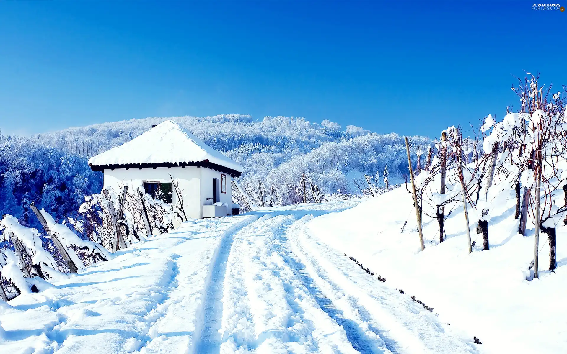 Way, Home, winter, mountains