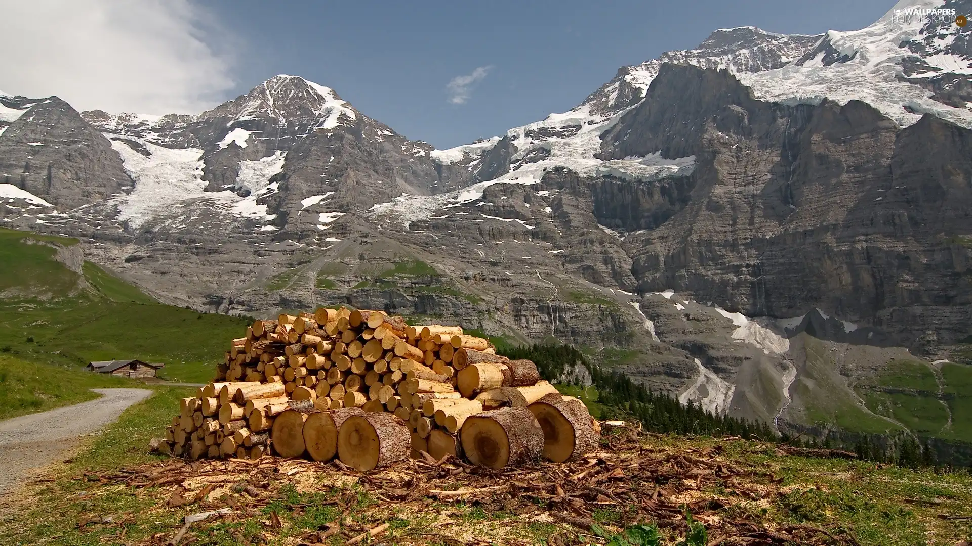wood, Switzerland, Way, stack, Mountains
