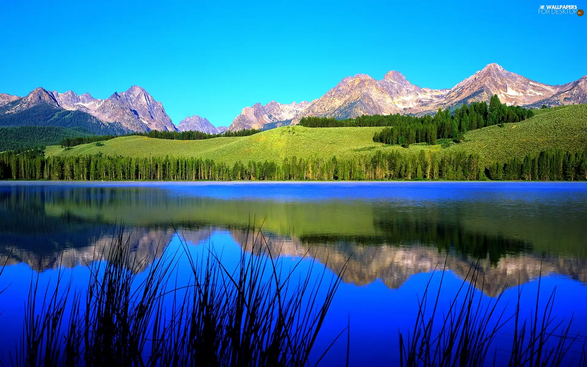 Wooded, edges, Mountains, reflection, lake