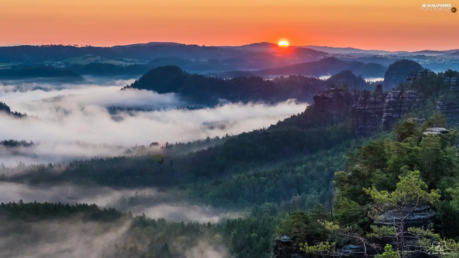 rocks, Saxon Switzerland National Park, Děčínská vrchovina, woods, Sunrise, Germany, viewes, Fog, trees