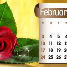 Calendar, february, 2013, rose