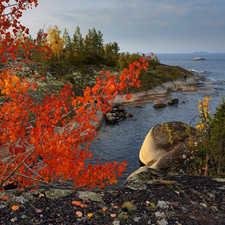 autumn, rocks, Human, trees, VEGETATION, Lake Ladoga, Russia, viewes