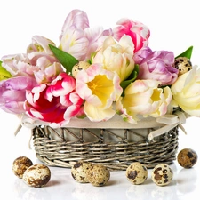 basket, eggs, Tulips