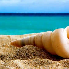 Beaches, shell, Sand