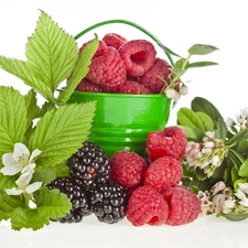 blackberries, Flowers, Bucket, raspberries, green ones