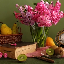 Books, Hyacinths, Fruits