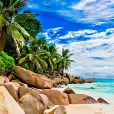 Palms, rocks, sea, boulders, Seychelles, VEGETATION, clouds