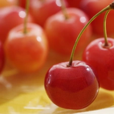 cherries, Fruits, Mature