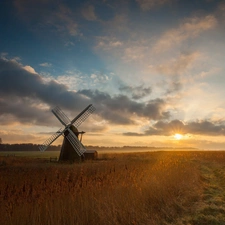 forest, medows, rays, Way, Windmill, clouds, sun