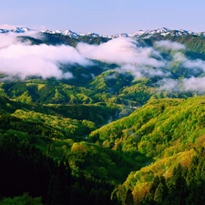 clouds, Mountains, woods