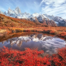 Patagonia, Argentina, puddle, reflection, VEGETATION, autumn, Fitz Roy Mountain, Coloured, Andes Mountains