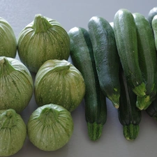 Squashes, green ones, Courgettes
