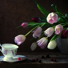 cup, Tulips, Vase