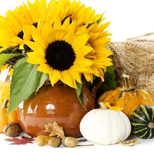 Ears, cereals, sunflowers, pumpkin, bouquet